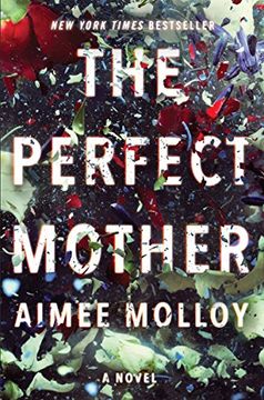 portada The Perfect Mother 