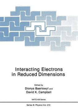 portada Interacting Electrons in Reduced Dimensions (en Inglés)