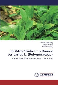 portada In Vitro Studies on Rumex vesicarius L. (Polygonaceae): For the production of some active constituents