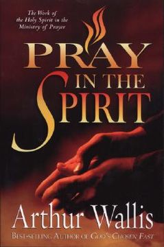 portada pray in the spirit: the work of the holy spirit in the ministry of prayer