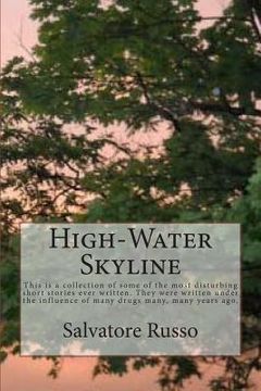 portada High-Water Skyline: This is a collection of some of the most disturbing short stories ever written. They are over analytical, bloody, perv (en Inglés)