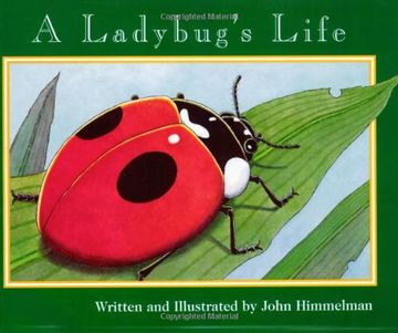portada A Ladybug's Life (Nature Upclose) (in English)