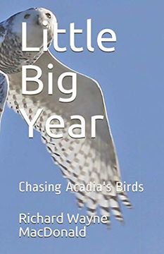 portada Little big Year: Chasing Acadia's Birds 