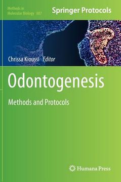 portada odontogenesis (in English)