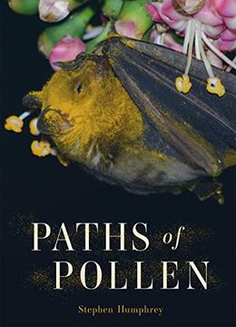 portada Paths of Pollen 