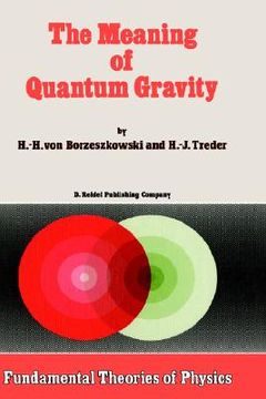 portada the meaning of quantum gravity (in English)