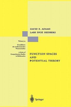 portada function spaces and potential theory (en Inglés)