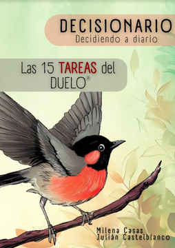 portada DECISIONARIO LAS 15 TAREAS DEL DUELO (in Spanish)