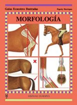 portada Morfología (Guías Ecuestres Ilust. )