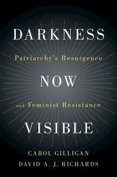 portada Darkness now Visible: Patriarchy's Resurgence and Feminist Resistance (en Inglés)