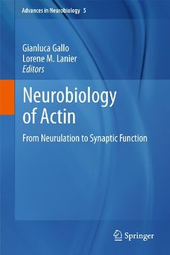 portada Neurobiology of Actin: From Neurulation to Synaptic Function (en Inglés)