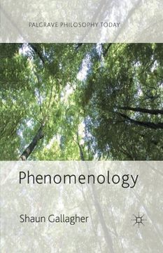 portada Phenomenology (Palgrave Philosophy Today) (in English)
