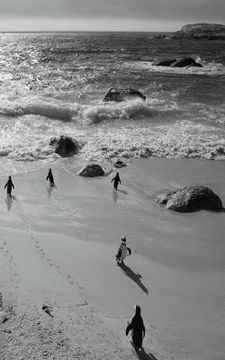 portada Alive! little penguin friends - Black and White - Photo Art Notebooks (5 x 8 series) (en Inglés)