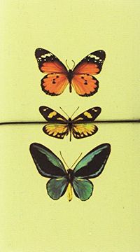 portada Libreta Grande Mariposas
