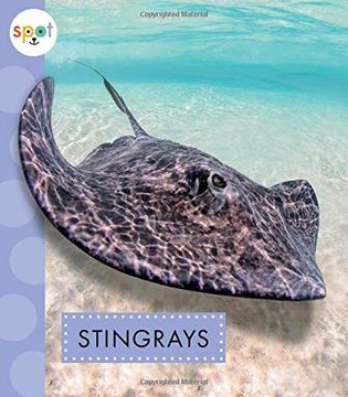 portada Stingrays (Spot Ocean Animals) (en Inglés)
