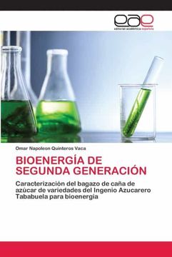 portada Bioenergía de Segunda Generación: Caracterización del Bagazo de Caña de Azúcar de Variedades del Ingenio Azucarero Tababuela Para Bioenergía (in Spanish)