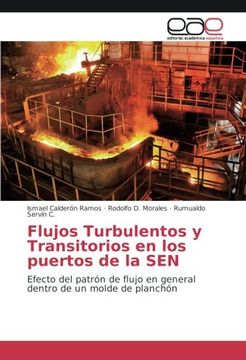 portada Flujos Turbulentos y Transitorios en los puertos de la SEN: Efecto del patrón de flujo en general dentro de un molde de planchón