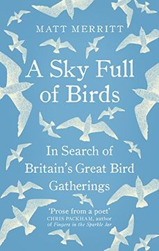 portada A Sky Full of Birds (Nicole Graves Mysteries)