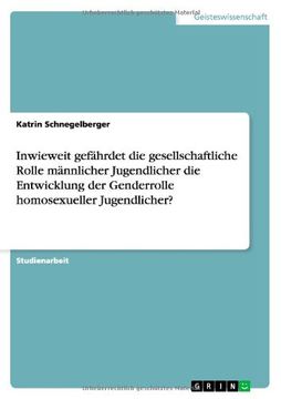 portada Inwieweit gefährdet die gesellschaftliche Rolle männlicher Jugendlicher die Entwicklung der Genderrolle homosexueller Jugendlicher? (German Edition)