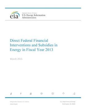 portada Direct Federal Financial Interventions and Subsidies in Energy in Fiscal Year 2013 (en Inglés)