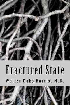 portada fractured state (in English)