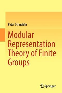 portada modular representation theory of finite groups (in English)