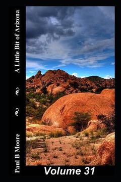 portada A Little Bit of Arizona: Volume 31 (in English)