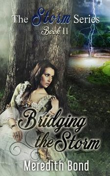 portada Bridging the Storm (en Inglés)
