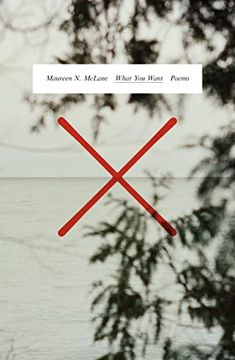 portada What you Want: Poems (in English)