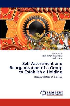 portada self assessment and reorganization of a group to establish a holding