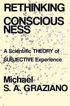 portada Rethinking Consciousness: A Scientific Theory of Subjective Experience (in English)