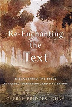 portada Re-Enchanting the Text: Discovering the Bible as Sacred, Dangerous, and Mysterious (in English)