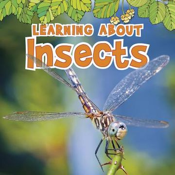 portada learning about insects (en Inglés)