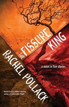 portada The Fissure King: A Novel in Five Stories (in English)