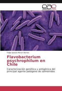 portada Flavobacterium psychrophilum en Chile: Caracterización genética y antigénica del principal agente patógeno de salmónidos