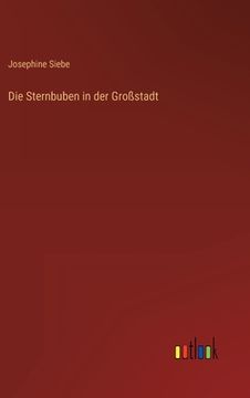 portada Die Sternbuben in der Großstadt