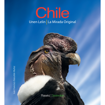 portada Chile la mirada original (bilingüe) (en español/mapuzugun)