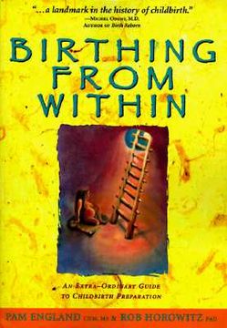 birthing from within,an extra-ordinary guide to childbirth preparation