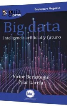 portada Guíaburros big Data (in Spanish)
