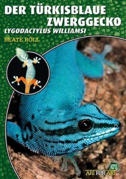 portada Art für Art: Der Türkisblaue Zwerggecko: Lygodactylus williamsi (en Alemán)