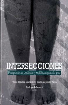portada Intersecciones: Perspectivas Politicas y Estetica (in Spanish)