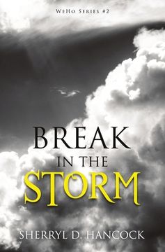 portada Break in the Storm (en Inglés)