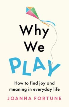 portada Why we Play: How to Find joy and Meaning in Everyday Life (en Inglés)