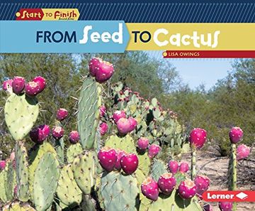 portada From Seed to Cactus (Start to Finish, Second Series)