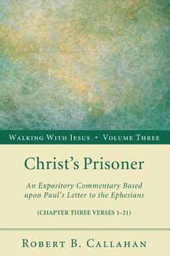 portada sin and redemption: an expository commentary based upon paul's letter to the ephesians (chapter two verses 1-22) (en Inglés)
