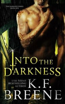 portada Into the Darkness (Darkness, 1) (Volume 1) (en Inglés)