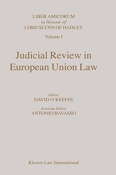 portada judicial review in european union law (en Inglés)