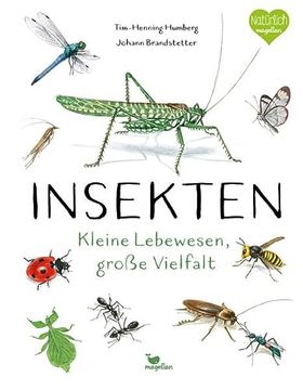 portada Insekten - Kleine Lebewesen, Große Vielfalt (en Alemán)