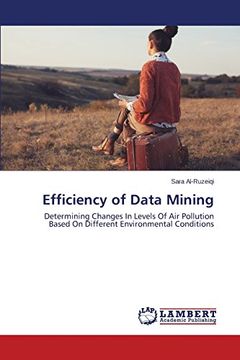portada Efficiency of Data Mining