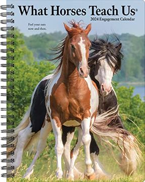 portada Willow Creek Press What Horses Teach us Softcover Weekly Planner 2024 Spiral-Bound Engagement Calendar (6. 5" x 8. 5") (en Inglés)
